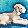 Bedlington Terrier Dog Paint By Numbers