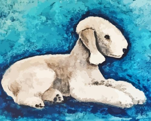 Bedlington Terrier Dog Paint By Numbers