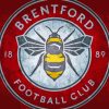 Brentford Logo Paint By Numbers