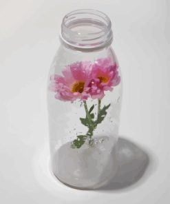 Flower Bottle Paint By Numbers