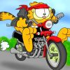 Garfield The Cat Paint By Numbers