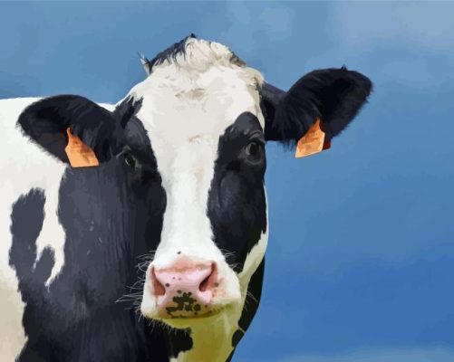 Holstein Cow Paint By Numbers