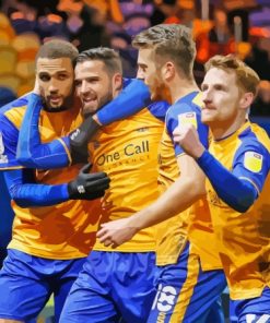 Mansfield Town Paint By Numbers