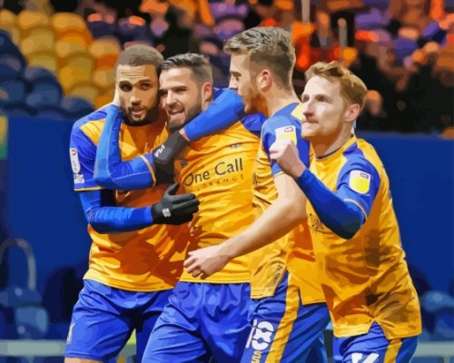 Mansfield Town Paint By Numbers