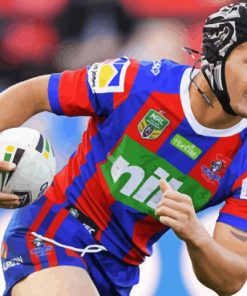 Newcastle Knights Paint By Numbers