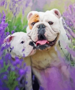 Bulldog In Lavender Paint By Numbers