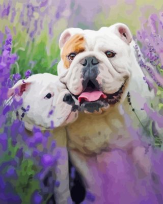 Bulldog In Lavender Paint By Numbers