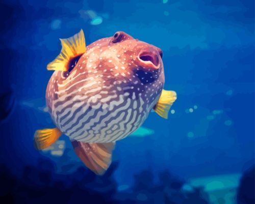 Puffer Fish View Paint By Numbers