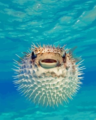 Puffer Fish Paint By Numbers