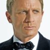 Quantum Of Solace Character Paint By Numbers