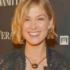 Classy Rosamund Pike Paint By Numbers