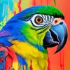 Splash Parrot Paint By Numbers