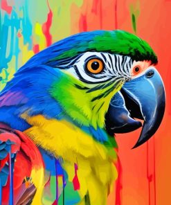 Splash Parrot Paint By Numbers