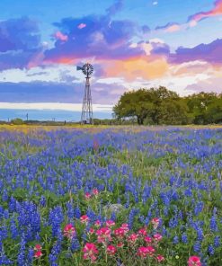 Bluebonnets Flowers Paint By Numbers