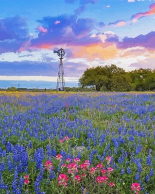 Bluebonnets Flowers Paint By Numbers