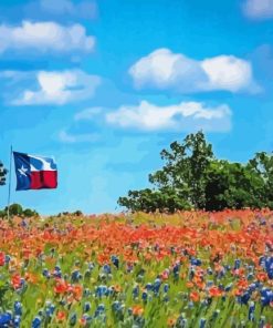 Bluebonnets Field Paint By Numbers