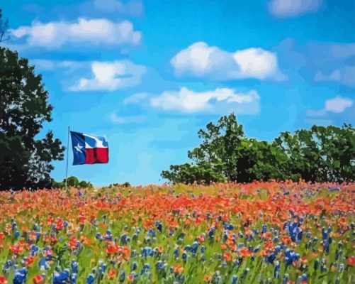 Bluebonnets Field Paint By Numbers