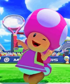 Toadette Paint By Numbers