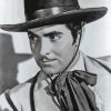 Tyrone Edmund Power Paint By Numbers