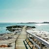 Wood Path To Ocean Paint By Numbers