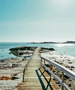 Wood Path To Ocean Paint By Numbers