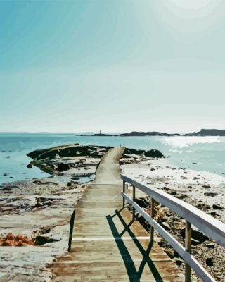 Wood Path To Ocean Paint By Numbers