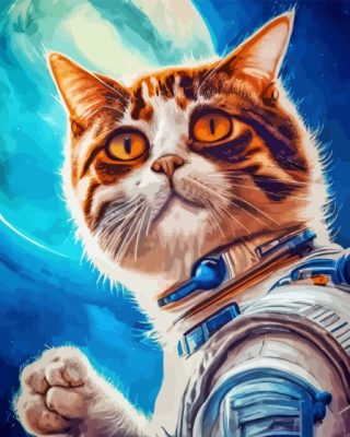 Astronaut Cat Paint By Numbers