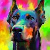 Colorful Dobermann Paint By Numbers