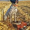 Hunting Dog Paint By Numbers