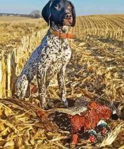 Hunting Dog Paint By Numbers