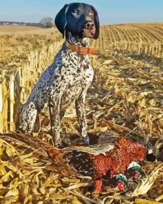 Hunting Dog Paint By Numbers