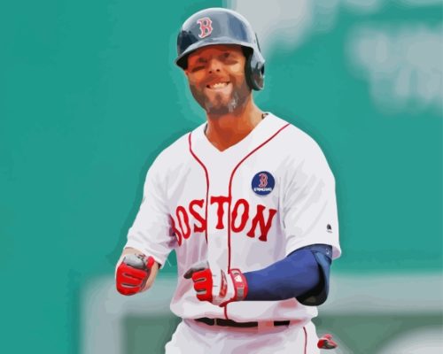 Dustin Pedroia Paint By Numbers