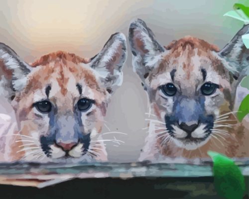 Florida Panther Paint By Numbers