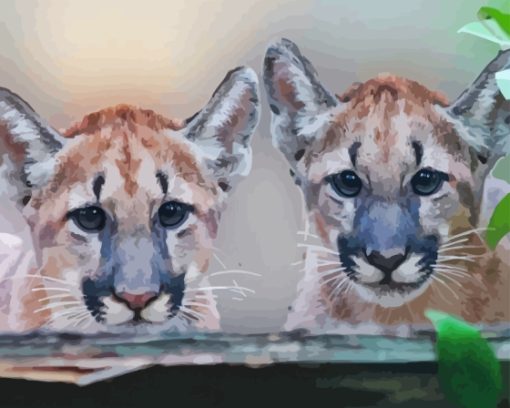 Florida Panther Paint By Numbers