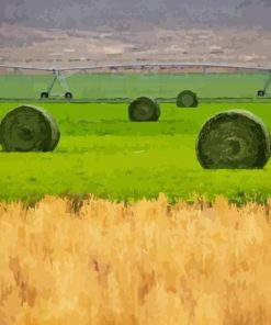 Hay Bales Paint By Numbers