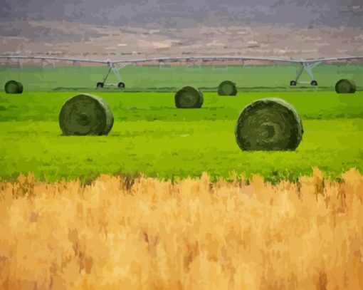 Hay Bales Paint By Numbers