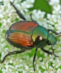 Beetles With Ortho Paint By Numbers