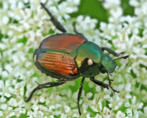 Beetles With Ortho Paint By Numbers