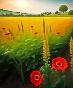 Poppies Filed Paint By Numbers