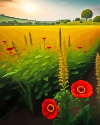 Poppies Filed Paint By Numbers