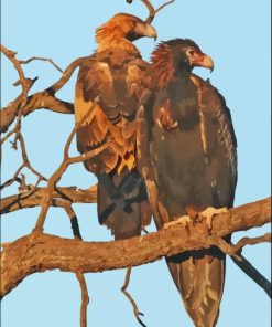 Wedge Eagle Birds Paint By Numbers