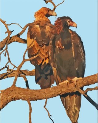 Wedge Eagle Birds Paint By Numbers