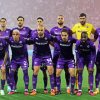 ACF Fiorentina Paint By Numbers