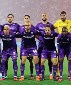 ACF Fiorentina Paint By Numbers