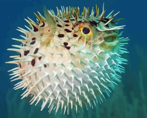 Blowfish In Sea Paint By Numbers