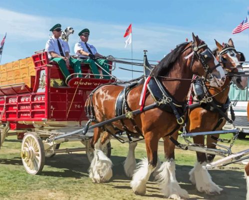 Budweiser Clydesdales Paint By Numbers