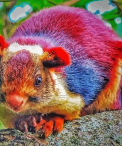 COLORFUL SQUIRREL Paint By Numbers