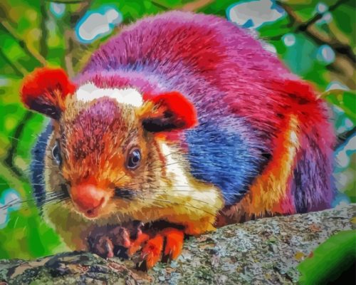 COLORFUL SQUIRREL Paint By Numbers