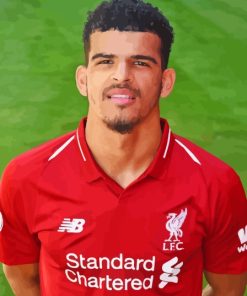 Dominic Solanke Player Paint By Numbers