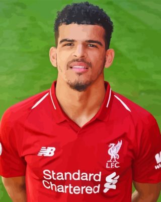 Dominic Solanke Player Paint By Numbers